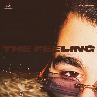 The Feeling (For You) by JT Soul