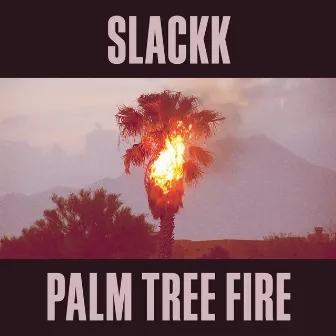 Palm Tree Fire by Slackk