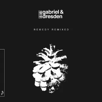 Remedy (Remixed) by Gabriel & Dresden