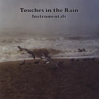 Touches in the Rain (Instrumentals) by The JAM Band