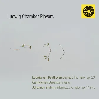 Ludwig Chamber Players: Beethoven, Nielsen & Brahms by Ludwig Chamber Players