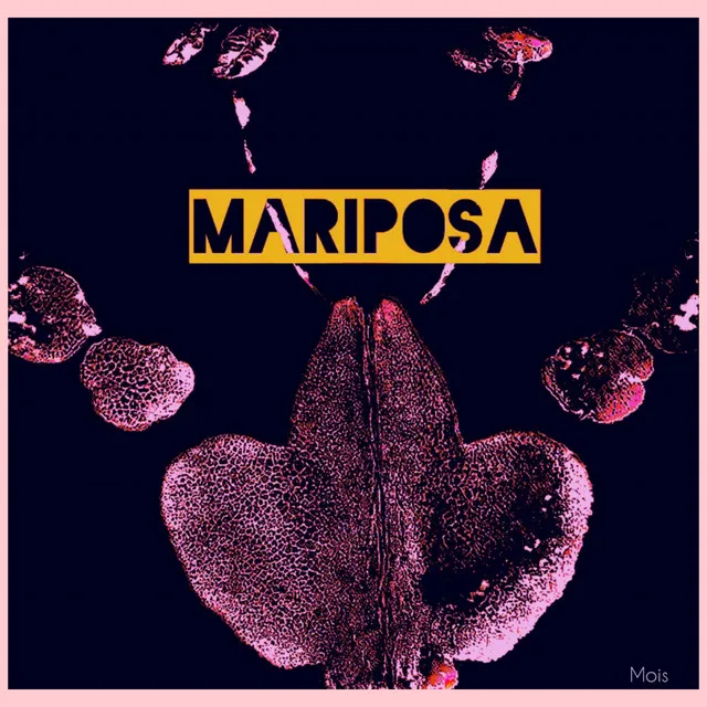 Mariposa