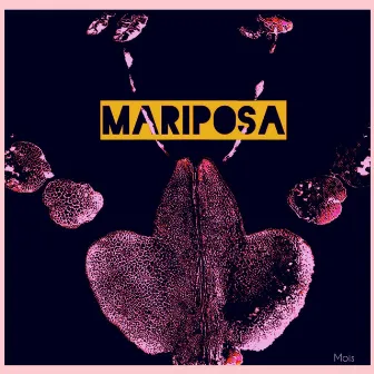 Mariposa by moi