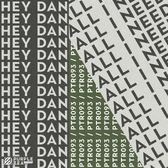 All I Need (Radio Edit) by Hey Dan