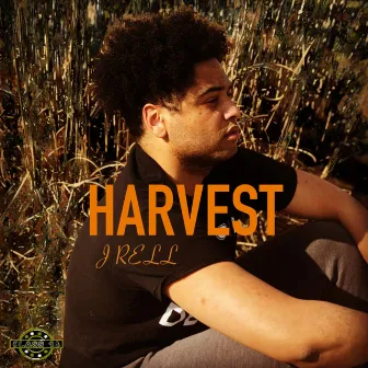 Harvest by Austin Jarrell