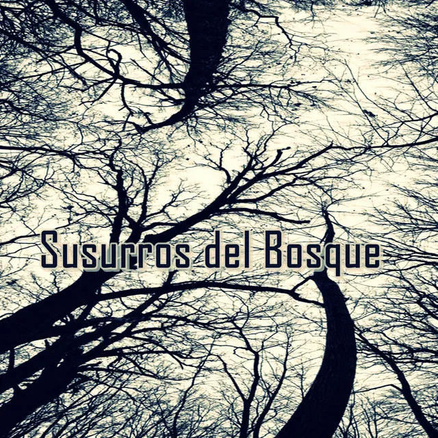 Susurros del Bosque