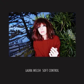 Soft Control by Laura Welsh