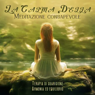 La Calma Della Meditazione consapevole, Terapia di guarigione, Armonia ed equilibrio by Cascata Di Emozioni