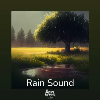 Pause from daily activities by #Rain #Sound by Cloud Bed