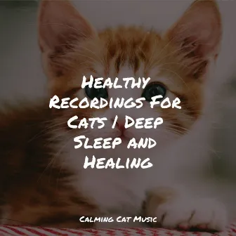 Healthy Recordings For Cats | Deep Sleep and Healing by Calm Music for Cats