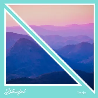 #15 Blissful Tracks to Aid Calm and Relaxation by Unknown Artist