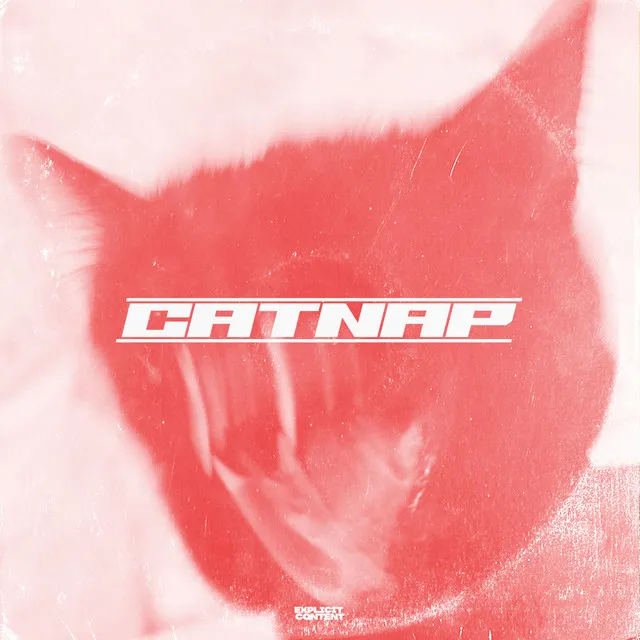 Catnap