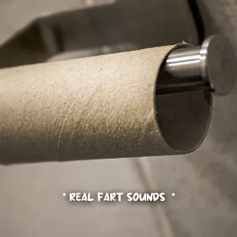 * real fart sounds * by Funny Sounds Effects