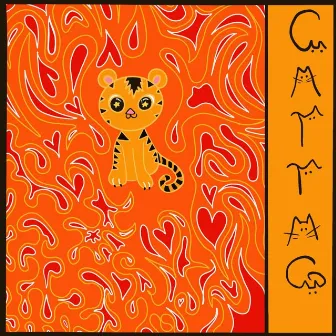 CATTAG by Casttag