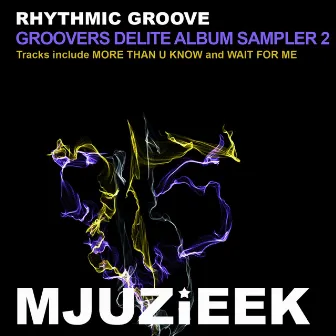 Groovers Delite Album Sampler Vol. 2 by Rhythmic Groove