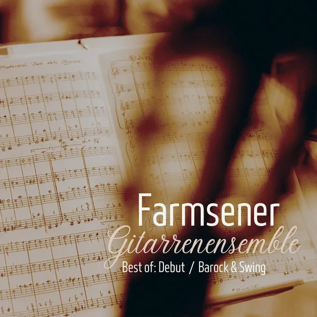 Farmsener Gitarrenensemble