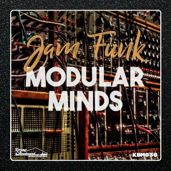 Modular Minds by Jam Funk