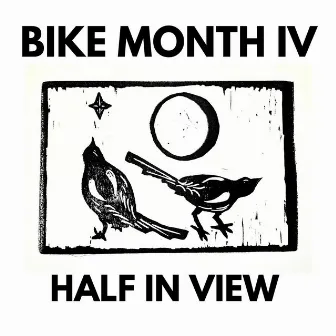 IV: Half in View by Bike Month