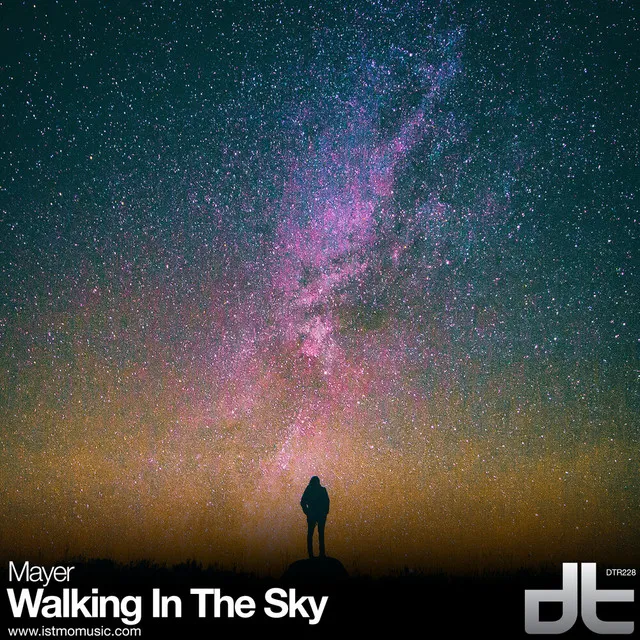 Walking in the Sky (Mayer Mix)