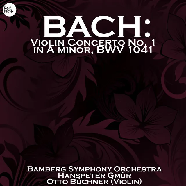 Violin Concerto in A minor, BWV 1041: I. Allegro