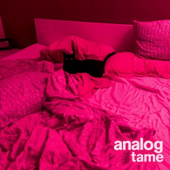 Tame by analog