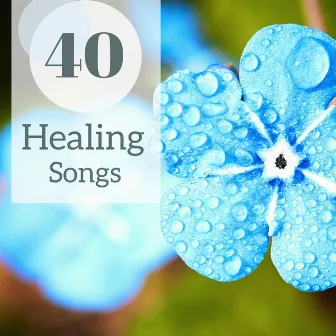 40 Healing Songs - Ambient Spa Music for Massage, Zen Flutes & Nature Sounds by Healing Naturists