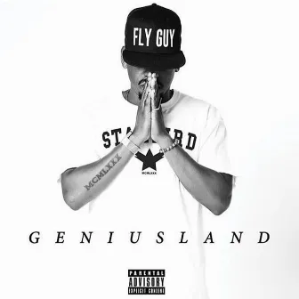 Geniusland by A FLY GUY