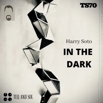 In The Dark by Harry Soto