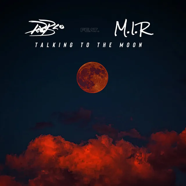 Talking To The Moon