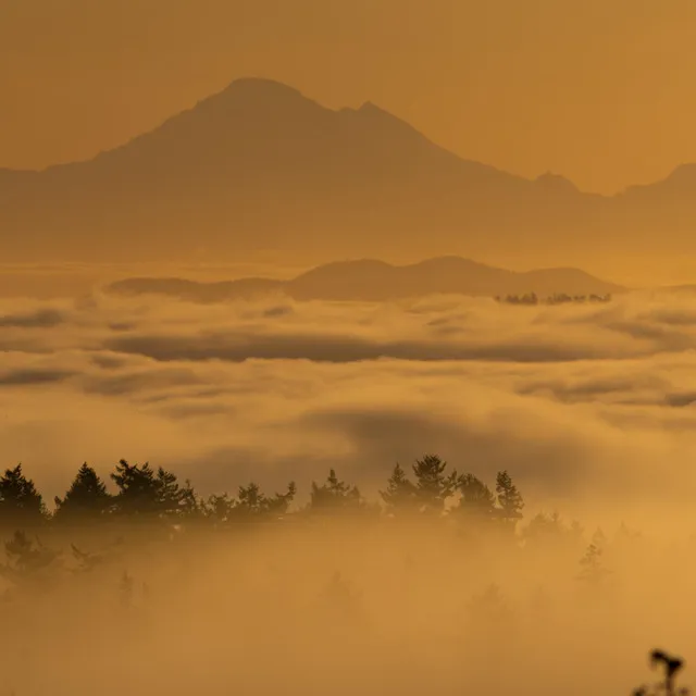 Over the Mountains