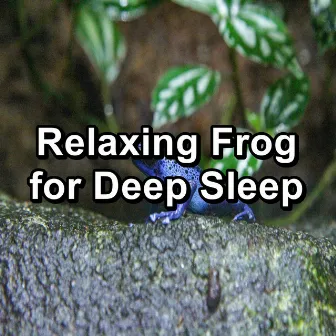 Relaxing Frog for Deep Sleep by Frog Sounds