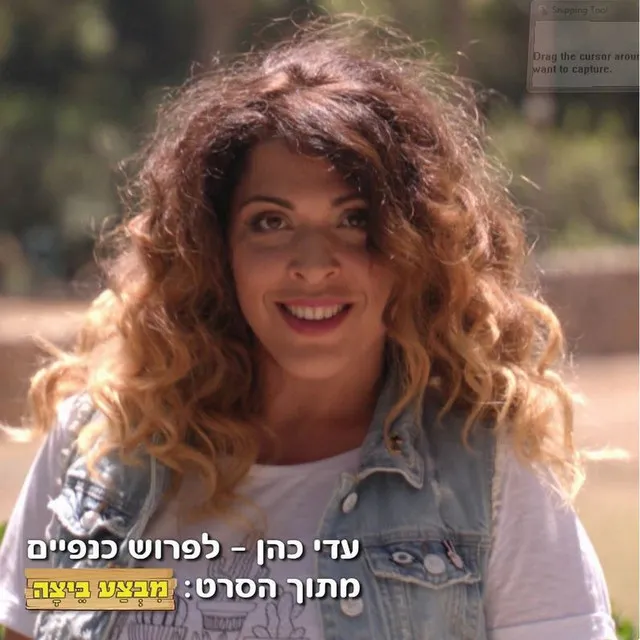 (לפרוש כנפיים (מתוך הסרט ״מבצע ביצה״