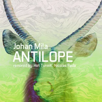 Antilope by Johan Mila