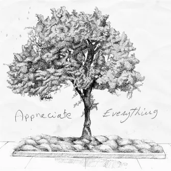 Appreciate Everything by Ali Darwiche