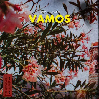 Vamos by Stefano Saint