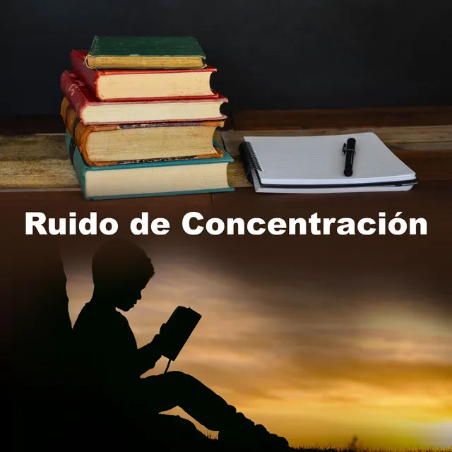 Ruido de Concentración