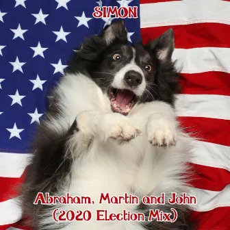 Abraham, Martin and John (2020 Election Mix) by Simon