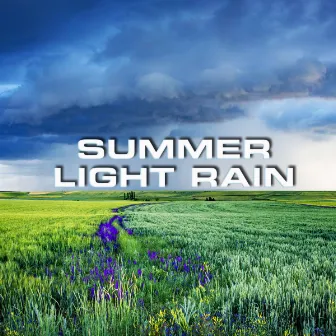 Summer Light Rain by Calming White Noise