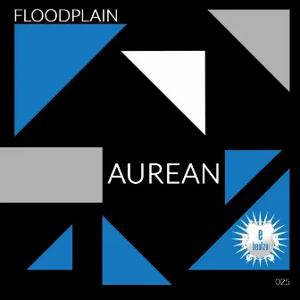 Floodplain by Aurean