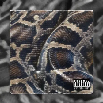 Snakes by Giiifted