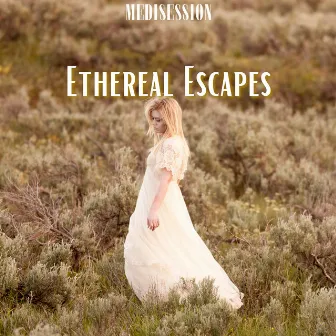 Ethereal Escapes: 432 Hz Ambient Journeys by Augmented Meditation