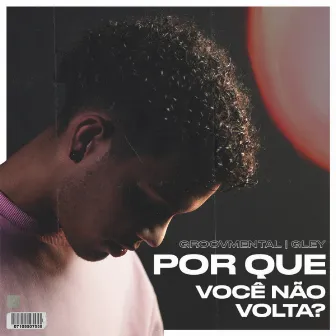 Porque Você não Volta? by Gley