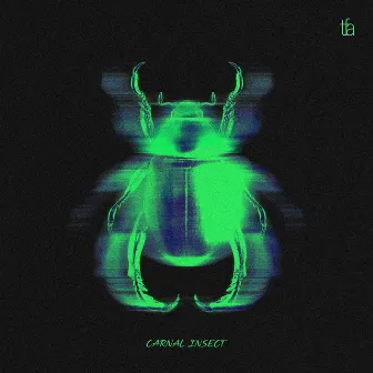 Carnal Insect by The Fair Attempts