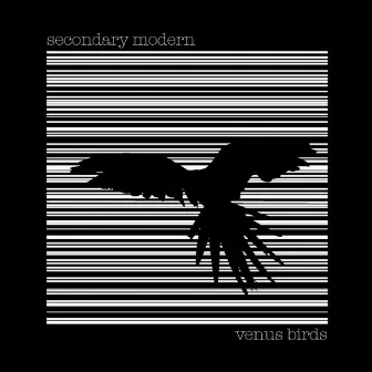 Venus Birds by Secondary Modern