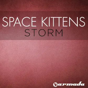 Storm by Space Kittens