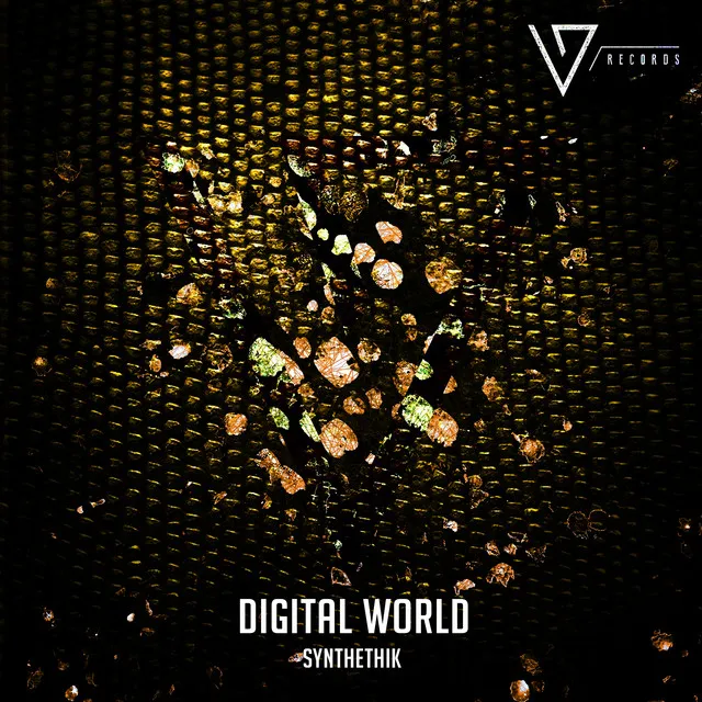 Digital World - Jin du Jun Remix