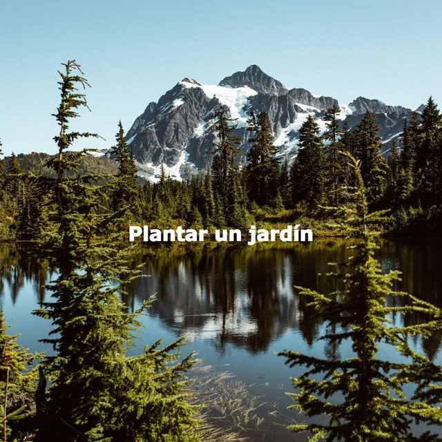 Plantar un jardín