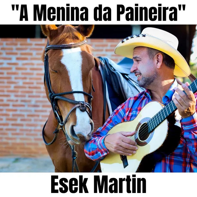 A Menina da Paineira