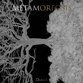 Metamorfosis by DaMcX