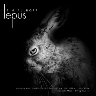 Lepus by Tim Allhoff